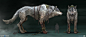 yefim-kligerman-fenrir-yk-03template