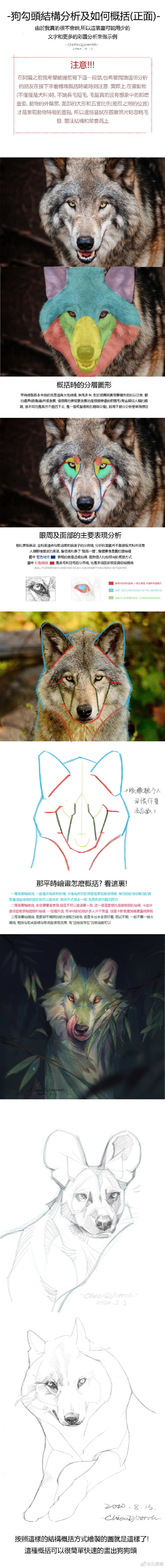 狗狗头面部结构分析教你怎么理解全是毛的犬科照片