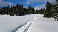 高清晰大雪车轮印壁纸封面大图