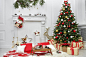 haultail-Five-ways-you-can-help-the-environment-this-Christmas