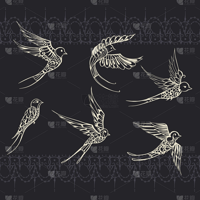 鸟类,燕子,可爱的,自然,高雅,画画,收...