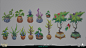 Some explorations I did for the potted plants
