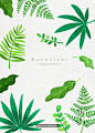 热带植物 多种绿色叶子 水彩手绘插画PSD_平面设计_绘画插图