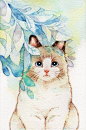 (307) Pinterest