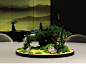 苔藓微景观圆桌造景生态缸桌面创意文人盆栽绿植成品生态瓶礼品-淘宝网