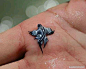 大西洋海神海蛞蝓 ( Glaucus Atlanticus )

　　也被称为蓝龙，生活在热带海域，藉由胃部气囊而浮在水面上