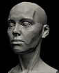 3D Content | New Masters Academy - Planes of the head.