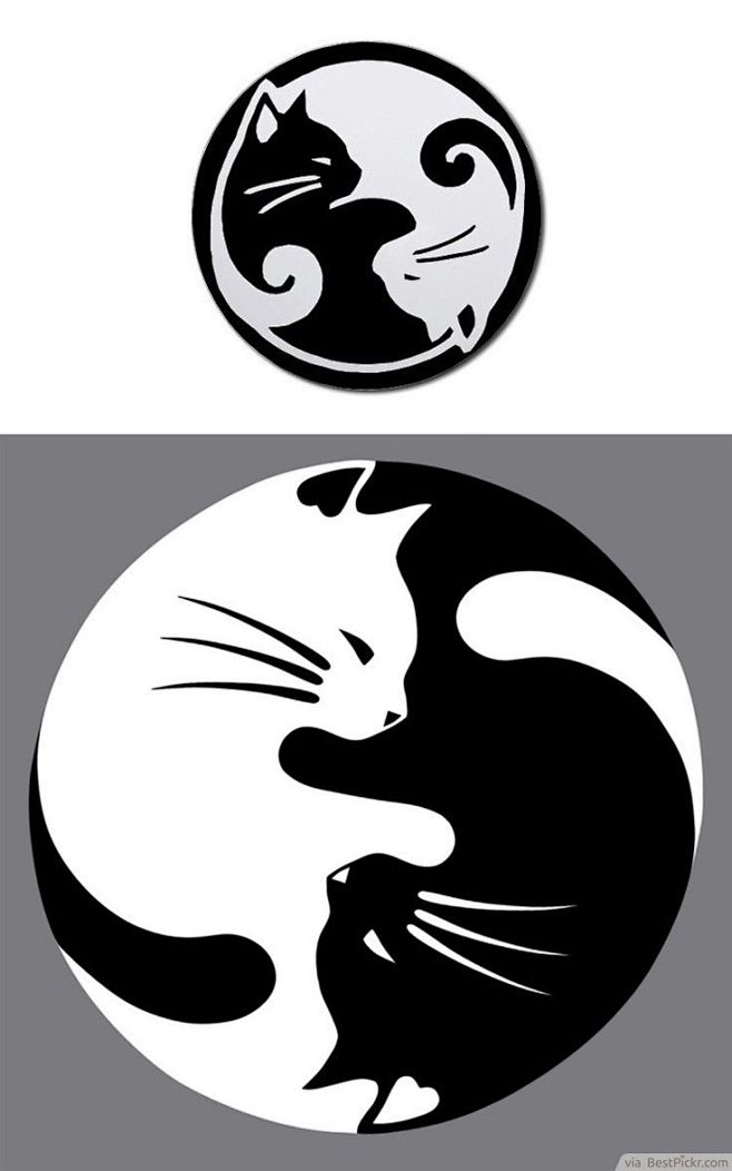 Yin Yang lucky cat t...