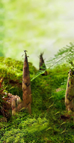 用户qneLSdbz采集到背景