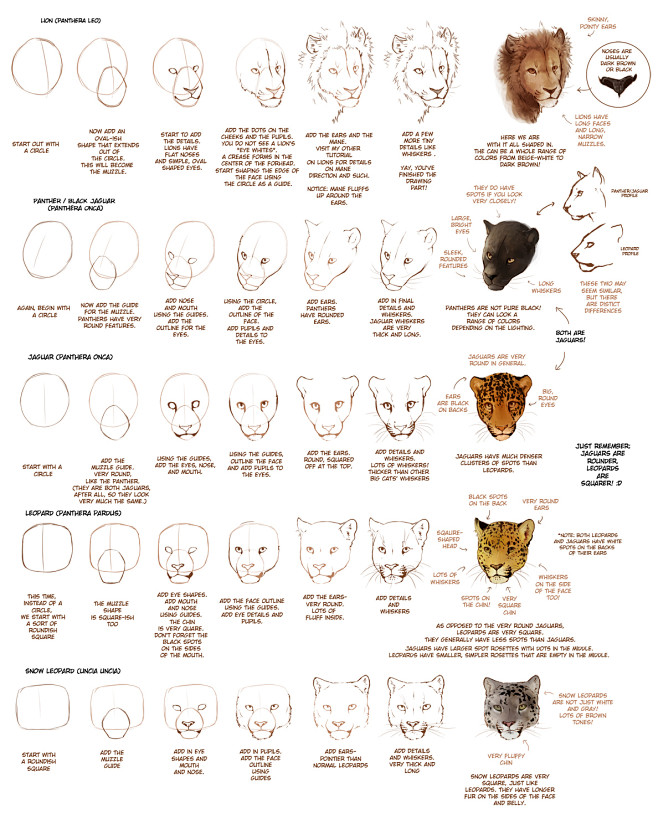 OLD: How to Draw Big...