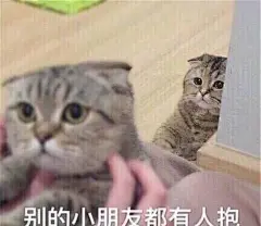 一组超萌的可爱猫咪表情包：我就盯到你喜欢我为止_【快资讯】