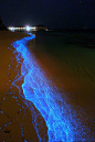 灯光#景观(1533图)_@Jessica的行游之路收集_花瓣建筑设计maldives  892