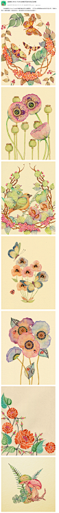 插画师Colleen Parker的唯美花枝叶果虫鸟鱼蝶 - 水彩迷