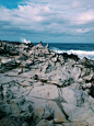 (1) Tumblr