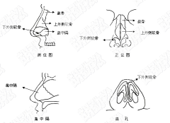 淼之诗采集到教程