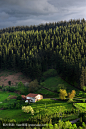 典型的乡村乡村别墅
typical basque country house in countryside