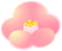 DCRe采集到收集PNG-自然物品
