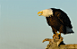 Full Of Anger by Harry  Eggens on 500px