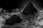 Nick Pedersen on Behance