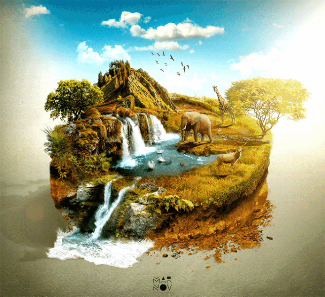The Animal World : E...
