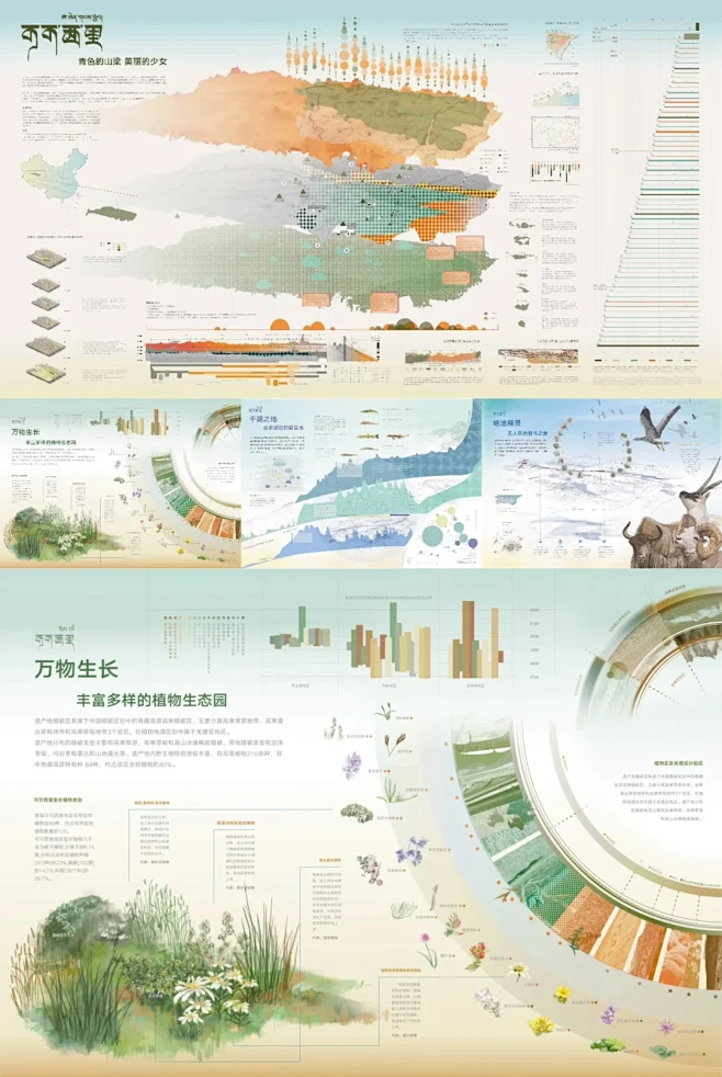 白金创意国际大赛获奖作品信息可视化设计 - 小红书-花瓣网