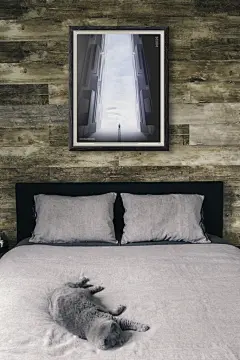 文艺时尚猫咪躺床画框样机