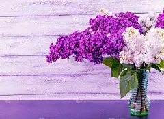 贺卡,留白,丁香花,背景,木制,紫色丁香,8日,母亲节,夏天,生日