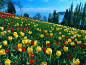博登湖 Mainau Island, Lake Constanceマイナウ島（ドイツ） 壁紙