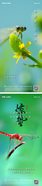 【素材能量站】海报 房地产 二十四节气 惊蛰 春天 清新 简约 螳螂 蜻蜓 |1035473 