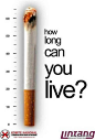 世界无烟日（5.31）—全球创意禁烟广告集（一）