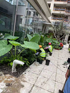 王珗森采集到花镜