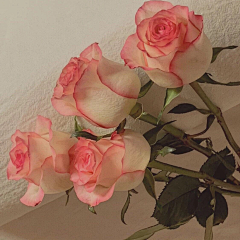 此意迢迢采集到花
