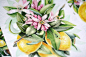 欧美插画师ElenaLimkina花卉植物水彩画 彩铅手绘临摹素材图272张-淘宝网