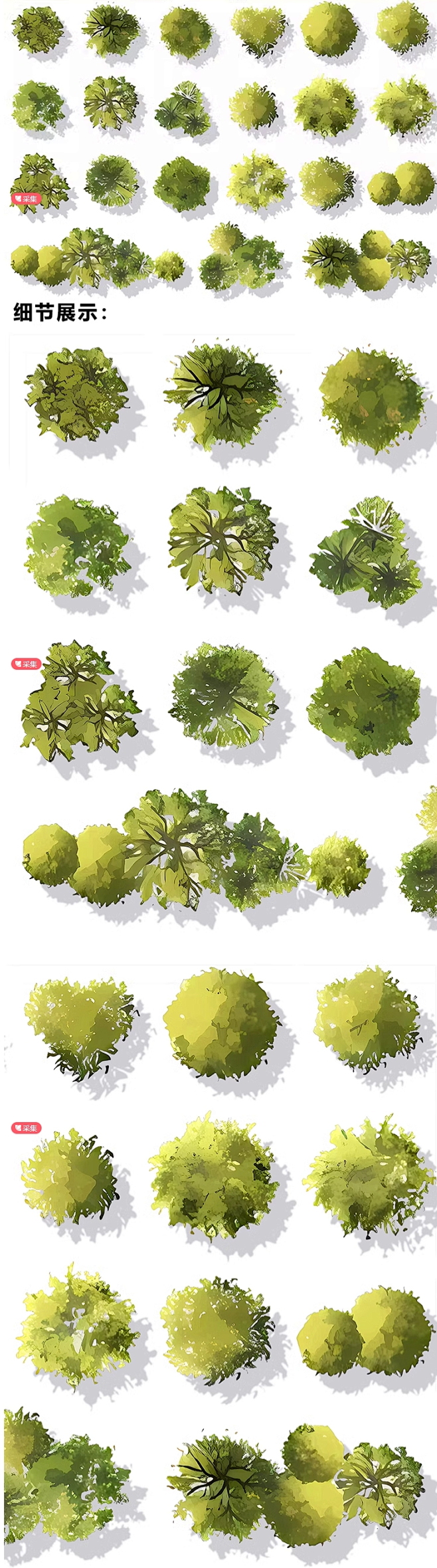 2024建筑景观彩平植物psd免扣素材小清新彩平植物配景ps分层素材