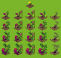Festival crops (plants) for Oasis:The Last Hope game