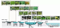 冰澈孁清采集到海绵城市