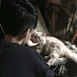【图片】【男头】护你周全【男生头像吧】_百度贴吧