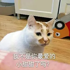 “昨天晚上你不是这么对我的！你忘了我给你做的黑暗料理了吗！你说很好吃的！”
    #表情包#