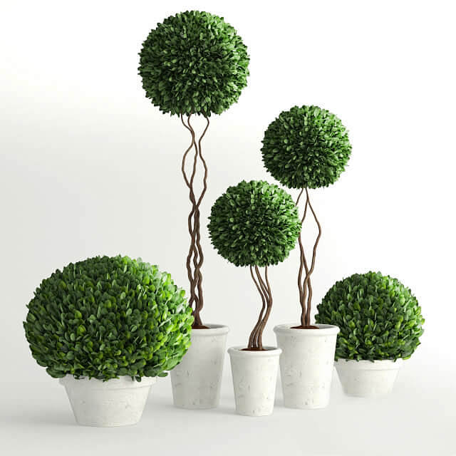 圆形装饰植物盆景3D模型（OBJ,FBX...