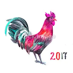 在白色背景上公鸡#新年# #春节# #过年# #鸡年# #2017年# #新年素材# #春节素材# #海报# #设计素材# #生肖# #平面设计# #新年海报# #鸡年海报# #2017数字背景# #圣诞节装饰# #公鸡# #卡通插画# #雄鸡# #新年贺卡# #鸡年日历# #2017年日历#