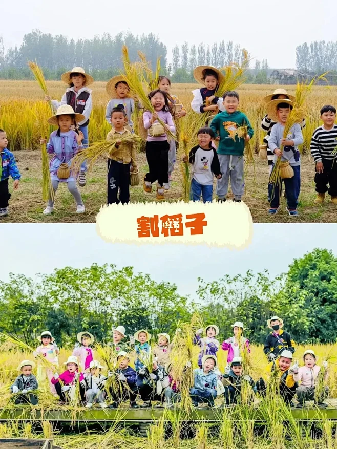 农耕研学|收稻拾稻，感受秋收的意义-花瓣网