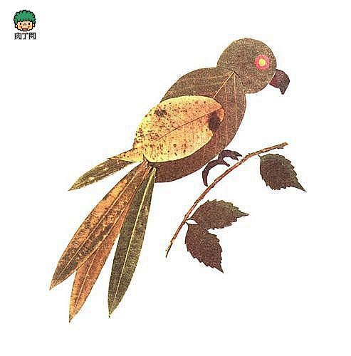 树叶拼贴画植物粘贴画手工制作╭肉丁网