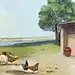 采集图片