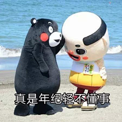1个迷人的小萝卜头采集到熊本熊（表情包）
