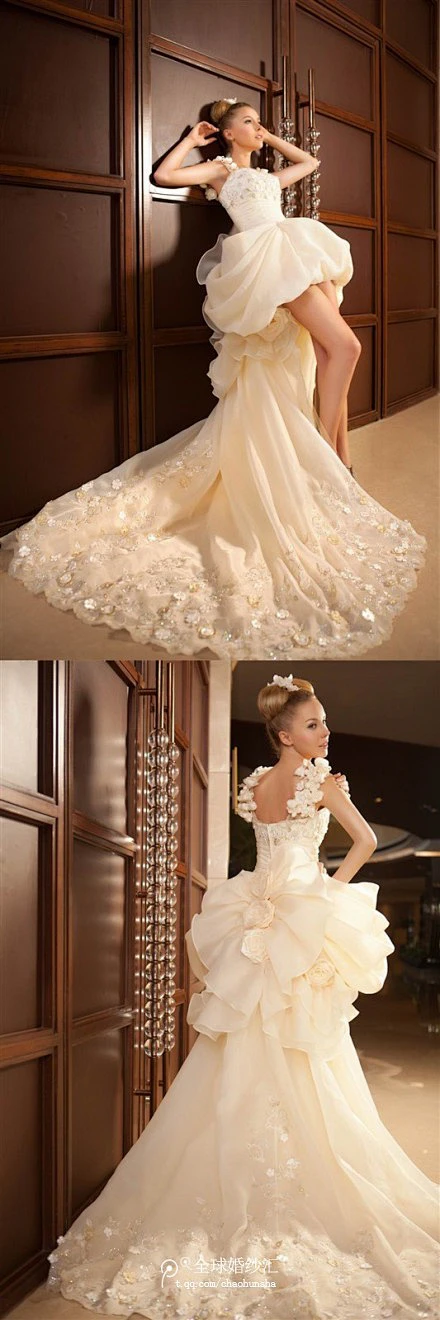 幻城内的花瓣采集图片-繁花j