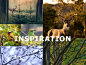 nature photography logo : Logo for a photography group that mainly captures nature's beauties. 