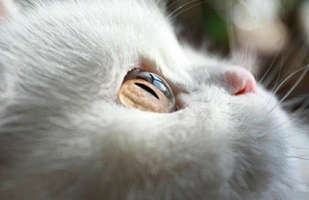 水晶球般的眸美得让人窒息