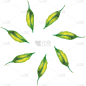 高雅,式样,表现积极,边框,可爱的,商务,计算机,清新,离开,覆盖