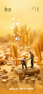 秋分海报-源文件分享-ywjfx.cn