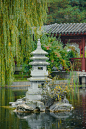 中国建筑，建在湖中。柳树。